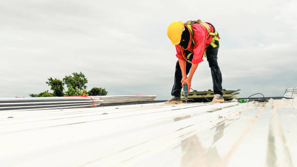 Best Solar Panel Roofing Installation  in Maryville, TN