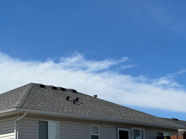 Best Commercial Roofing Services  in Maryville, TN